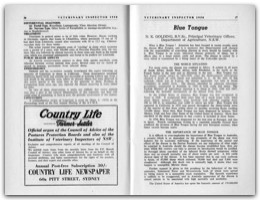 1958 Page 36 37